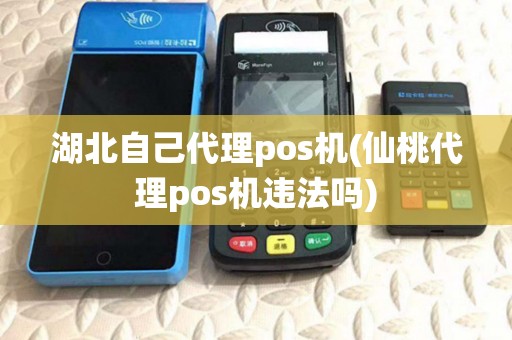 湖北自己代理pos机(仙桃代理pos机违法吗) 湖北自己代理pos机(仙桃代理pos机违法吗)