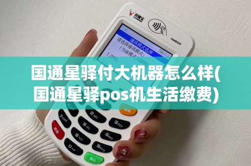 国通星驿付大机器怎么样(国通星驿pos机生活缴费) 国通星驿付大机器怎么样(国通星驿pos机生活缴费)