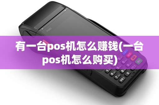 有一台pos机怎么赚钱(一台pos机怎么购买) 有一台pos机怎么赚钱(一台pos机怎么购买)