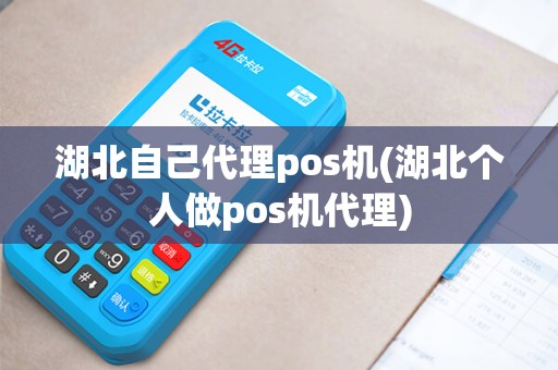 湖北自己代理pos机(湖北个人做pos机代理) 湖北自己代理pos机(湖北个人做pos机代理)