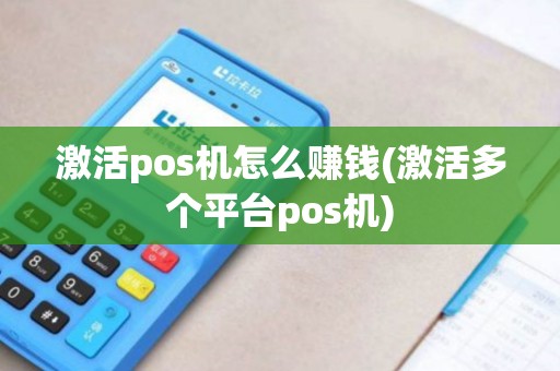 激活pos机怎么赚钱(激活多个平台pos机) 激活pos机怎么赚钱(激活多个平台pos机)