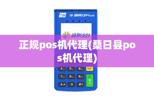 正规pos机代理(桑日县pos机代理) 正规pos机代理(桑日县pos机代理)