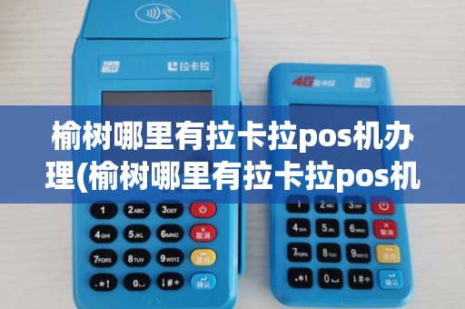 榆树哪里有拉卡拉pos机办理(榆树哪里有拉卡拉pos机) 榆树哪里有拉卡拉pos机办理(榆树哪里有拉卡拉pos机)
