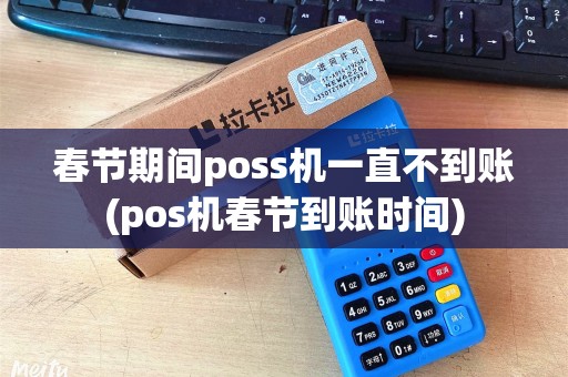 春节期间poss机一直不到账(pos机春节到账时间) 春节期间poss机一直不到账(pos机春节到账时间)