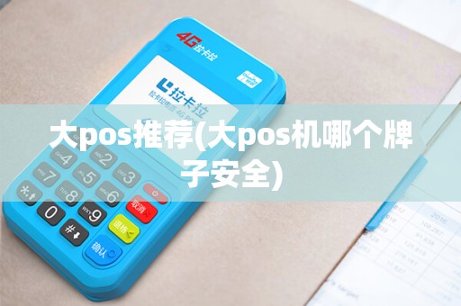 大pos推荐(大pos机哪个牌子安全)