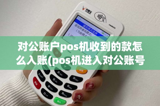 对公账户pos机收到的款怎么入账(pos机进入对公账号怎么处理)