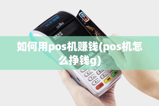 如何用pos机赚钱(pos机怎么挣钱g)