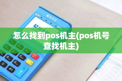 怎么找到pos机主(pos机号查找机主)