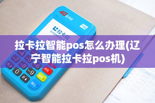 拉卡拉智能pos怎么办理(辽宁智能拉卡拉pos机) 拉卡拉智能pos怎么办理(辽宁智能拉卡拉pos机)