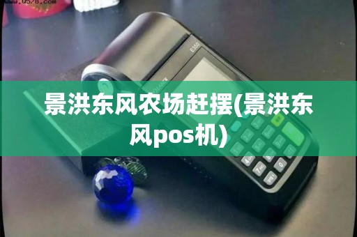 景洪东风农场赶摆(景洪东风pos机) 景洪东风农场赶摆(景洪东风pos机)