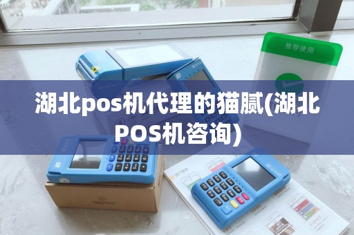 湖北pos机代理的猫腻(湖北POS机咨询) 湖北pos机代理的猫腻(湖北POS机咨询)