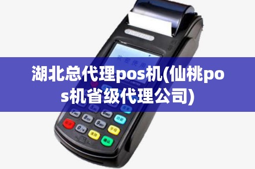 湖北总代理pos机(仙桃pos机省级代理公司) 湖北总代理pos机(仙桃pos机省级代理公司)