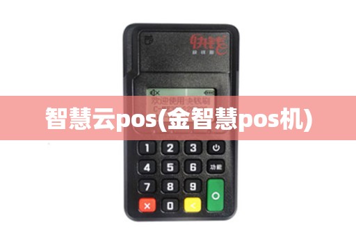 智慧云pos(金智慧pos机)