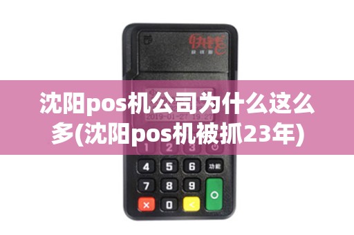 沈阳pos机公司为什么这么多(沈阳pos机被抓23年) 沈阳pos机公司为什么这么多(沈阳pos机被抓23年)