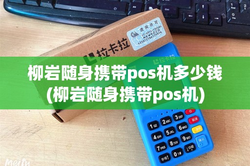 柳岩随身携带pos机多少钱(柳岩随身携带pos机) 柳岩随身携带pos机多少钱(柳岩随身携带pos机)