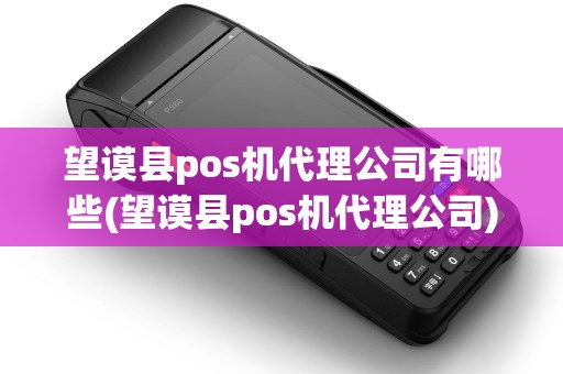望谟县pos机代理公司有哪些(望谟县pos机代理公司) 望谟县pos机代理公司有哪些(望谟县pos机代理公司)