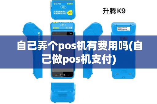 自己弄个pos机有费用吗(自己做pos机支付) 自己弄个pos机有费用吗(自己做pos机支付)