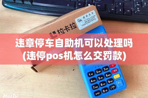 违章停车自助机可以处理吗(违停pos机怎么交罚款) 违章停车自助机可以处理吗(违停pos机怎么交罚款)