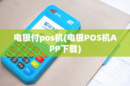电银付pos机(电银POS机APP下载)