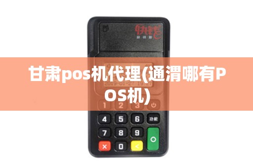 甘肃pos机代理(通渭哪有POS机) 甘肃pos机代理(通渭哪有POS机)