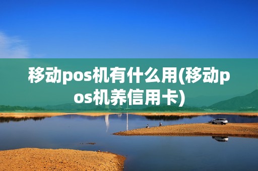移动pos机有什么用(移动pos机养信用卡) 移动pos机有什么用(移动pos机养信用卡)