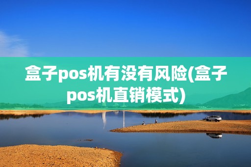 盒子pos机有没有风险(盒子pos机直销模式)
