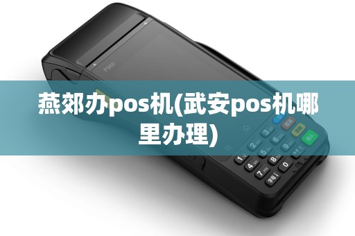 燕郊办pos机(武安pos机哪里办理)