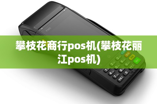 攀枝花商行pos机(攀枝花丽江pos机) 攀枝花商行pos机(攀枝花丽江pos机)