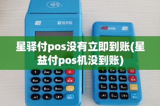 星驿付pos没有立即到账(星益付pos机没到账) 星驿付pos没有立即到账(星益付pos机没到账)