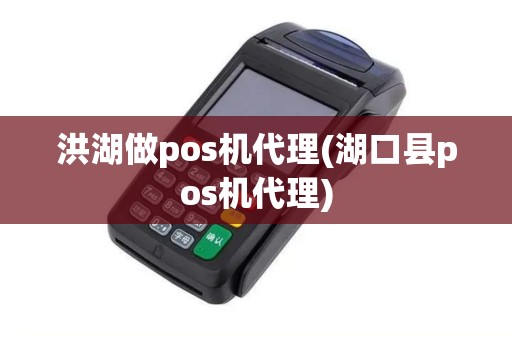 洪湖做pos机代理(湖口县pos机代理) 洪湖做pos机代理(湖口县pos机代理)