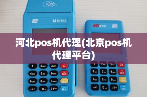 河北pos机代理(北京pos机代理平台)