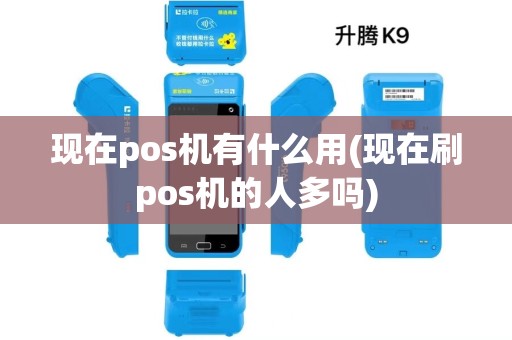 现在pos机有什么用(现在刷pos机的人多吗) 现在pos机有什么用(现在刷pos机的人多吗)