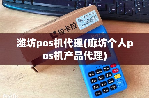 潍坊pos机代理(廊坊个人pos机产品代理)