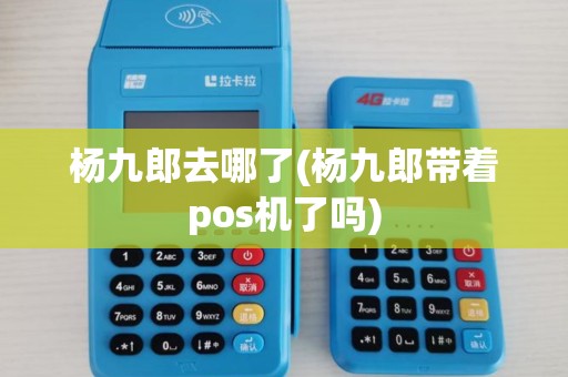 杨九郎去哪了(杨九郎带着pos机了吗) 杨九郎去哪了(杨九郎带着pos机了吗)