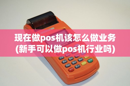 现在做pos机该怎么做业务(新手可以做pos机行业吗) 现在做pos机该怎么做业务(新手可以做pos机行业吗)