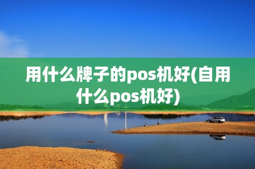 用什么牌子的pos机好(自用什么pos机好)