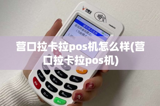 营口拉卡拉pos机怎么样(营口拉卡拉pos机) 营口拉卡拉pos机怎么样(营口拉卡拉pos机)