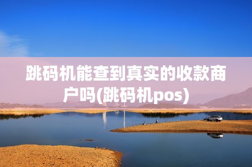 跳码机能查到真实的收款商户吗(跳码机pos) 跳码机能查到真实的收款商户吗(跳码机pos)