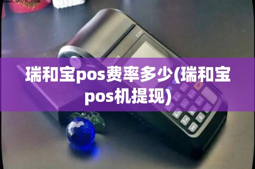 瑞和宝pos费率多少(瑞和宝pos机提现)