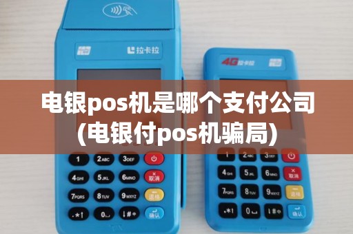 电银pos机是哪个支付公司(电银付pos机骗局) 电银pos机是哪个支付公司(电银付pos机骗局)