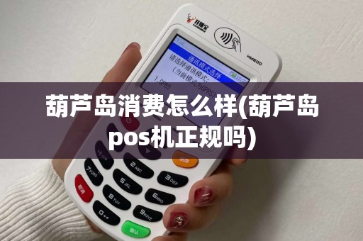 葫芦岛消费怎么样(葫芦岛pos机正规吗) 葫芦岛消费怎么样(葫芦岛pos机正规吗)