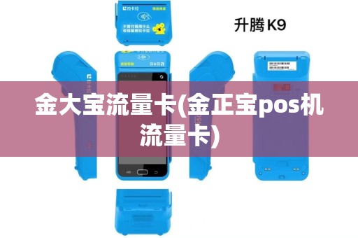 金大宝流量卡(金正宝pos机流量卡) 金大宝流量卡(金正宝pos机流量卡)