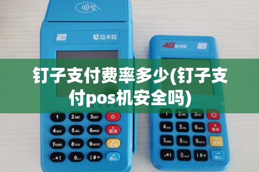 钉子支付费率多少(钉子支付pos机安全吗) 钉子支付费率多少(钉子支付pos机安全吗)