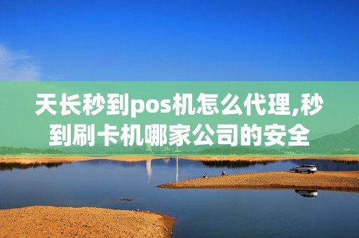 天长秒到pos机怎么代理,秒到刷卡机哪家公司的安全 天长秒到pos机怎么代理,秒到刷卡机哪家公司的安全