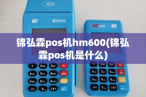 锦弘霖pos机hm600(锦弘霖pos机是什么) 锦弘霖pos机hm600(锦弘霖pos机是什么)