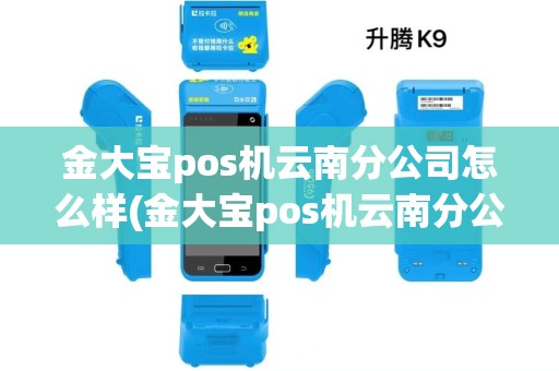 金大宝pos机云南分公司怎么样(金大宝pos机云南分公司)