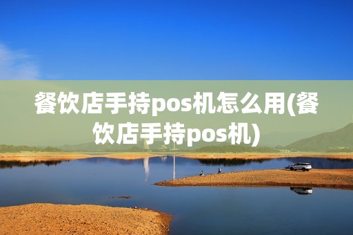 餐饮店手持pos机怎么用(餐饮店手持pos机)