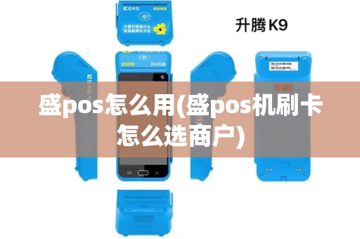 盛pos怎么用(盛pos机刷卡怎么选商户) 盛pos怎么用(盛pos机刷卡怎么选商户)