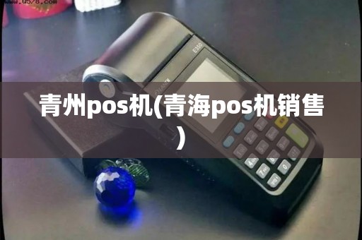 青州pos机(青海pos机销售) 青州pos机(青海pos机销售)