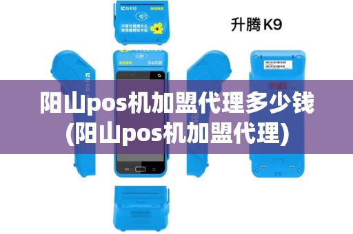 阳山pos机加盟代理多少钱(阳山pos机加盟代理)